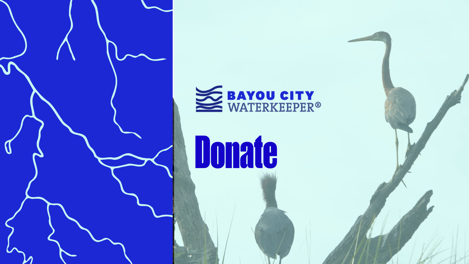 donate-bayou-city-waterkeeper