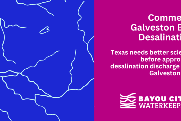Blue-and-magenta Bayou City Waterkeeper graphic with an abstract map of Houston-area waterways and text reading, “Comment: Galveston Bay Desalination” and “Texas needs better science before approving desalination discharge into Galveston Bay.”