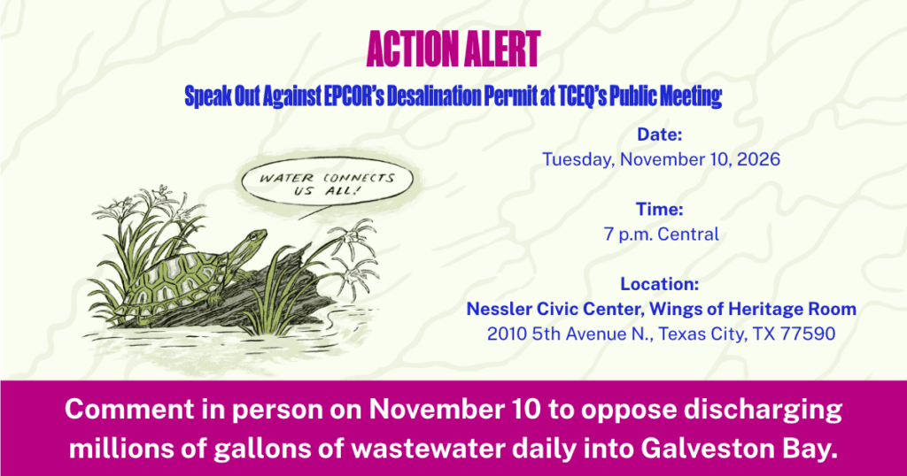Action alert: Speak against EPCOR’s desalination permit at TCEQ’s public meeting on Tuesday, November 10, 2026, at 7 p.m. Central. Location: Nessler Civic Center, Wings of Heritage Room, 2010 5th Avenue N., Texas City, TX 77590. Comment in person to oppose discharging millions of gallons of wastewater daily into Galveston Bay. An illustrated turtle among wetland plants says, “Water connects us all.”